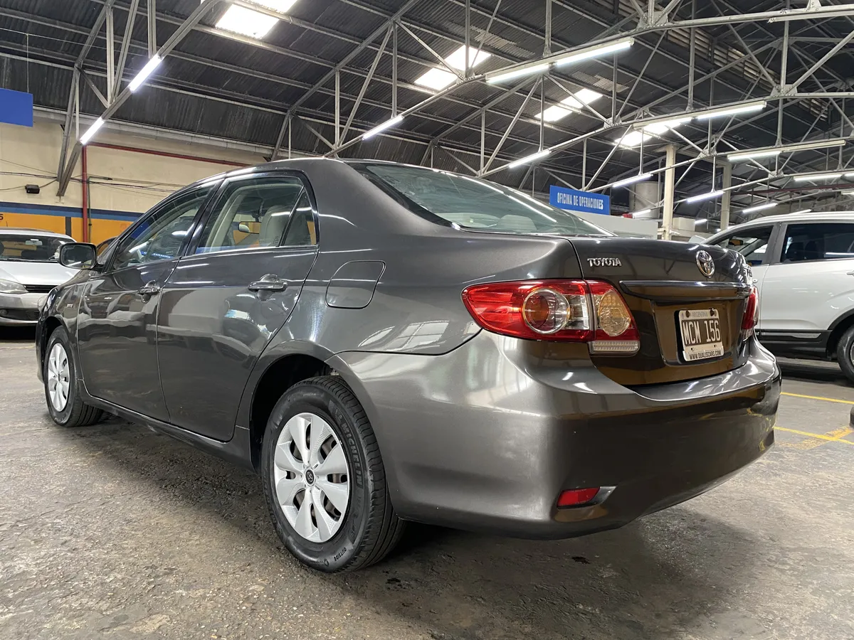 D_NQ_NP_2X_897326-MLA93949815996_102025-F