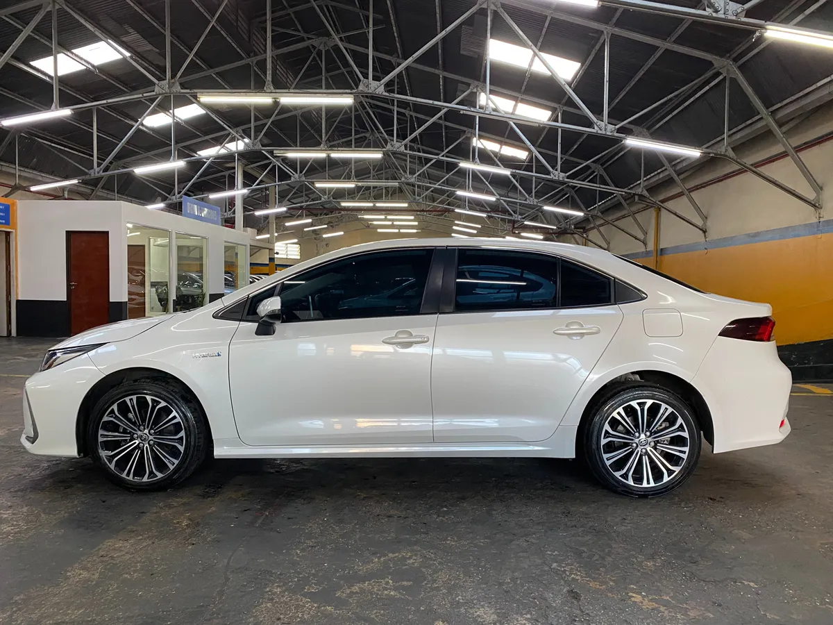 D_NQ_NP_2X_977682-MLA88537245222_072025-F