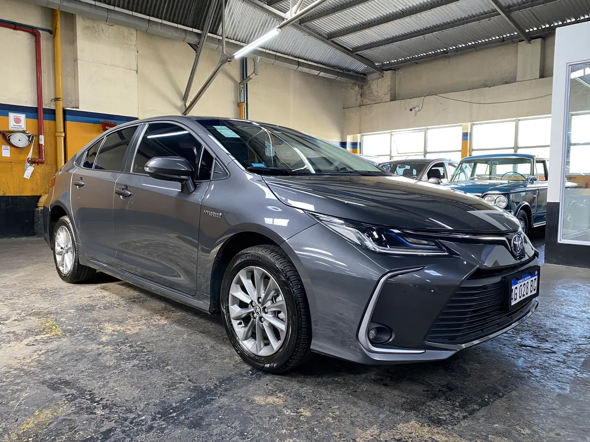 D_NQ_NP_2X_863068-MLA97864199663_112025-F