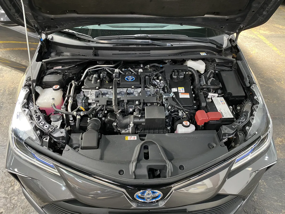 D_NQ_NP_2X_946144-MLA97402043572_112025-F