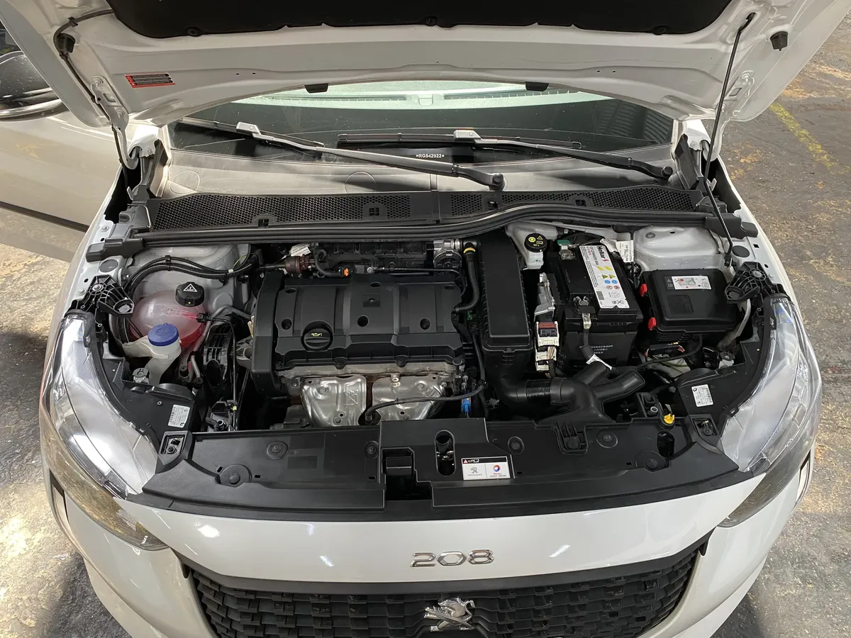 D_NQ_NP_2X_761988-MLA107741982093_022026-F