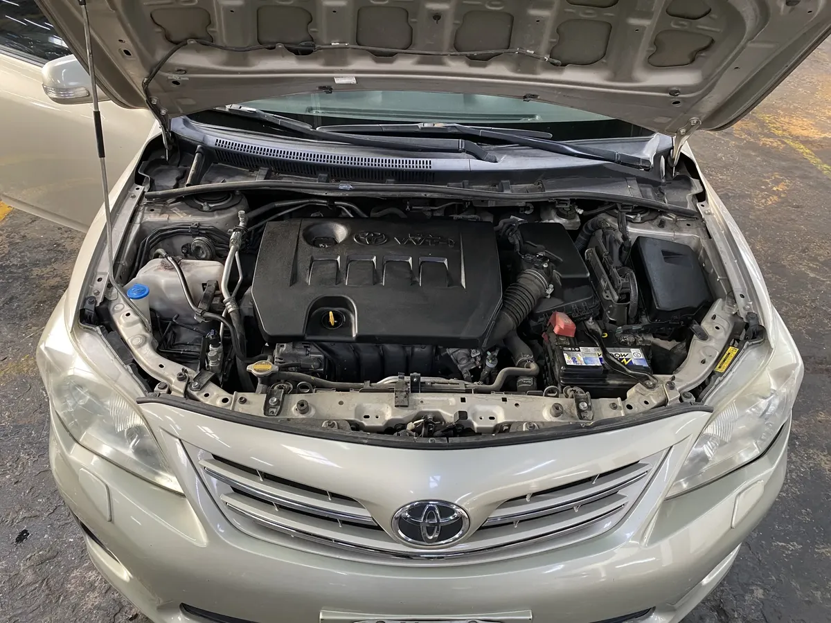 D_NQ_NP_2X_835898-MLA108571439613_032026-F