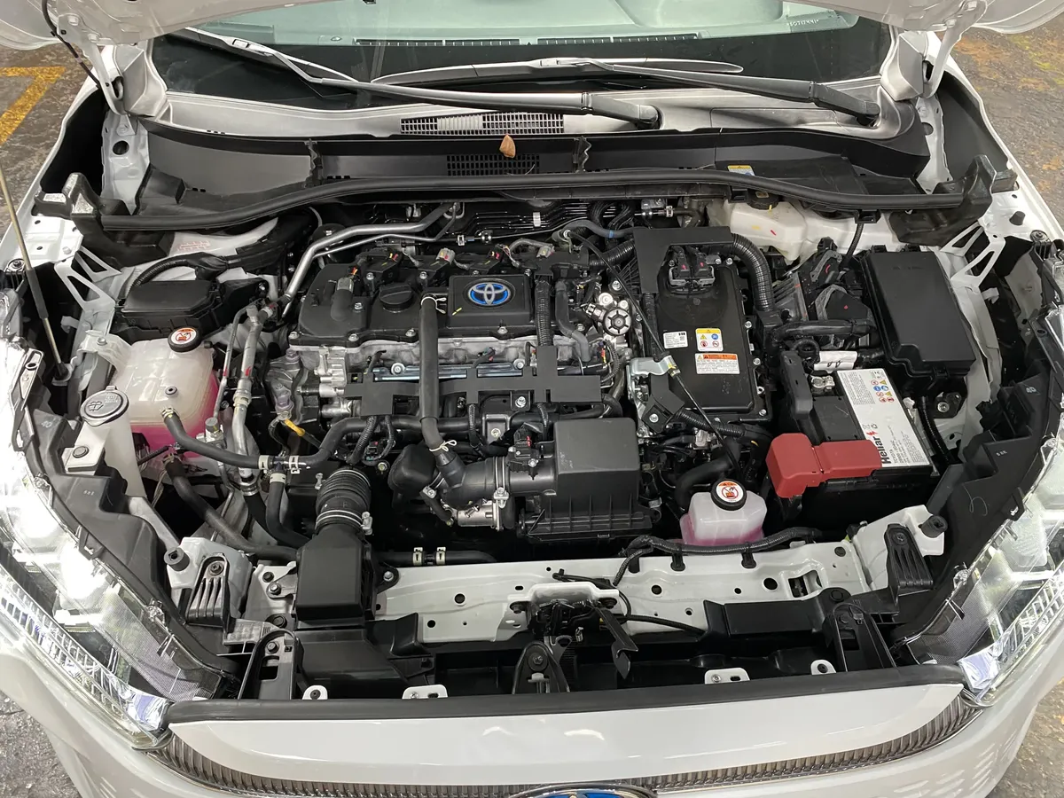 D_NQ_NP_2X_856215-MLA109511801884_042026-F